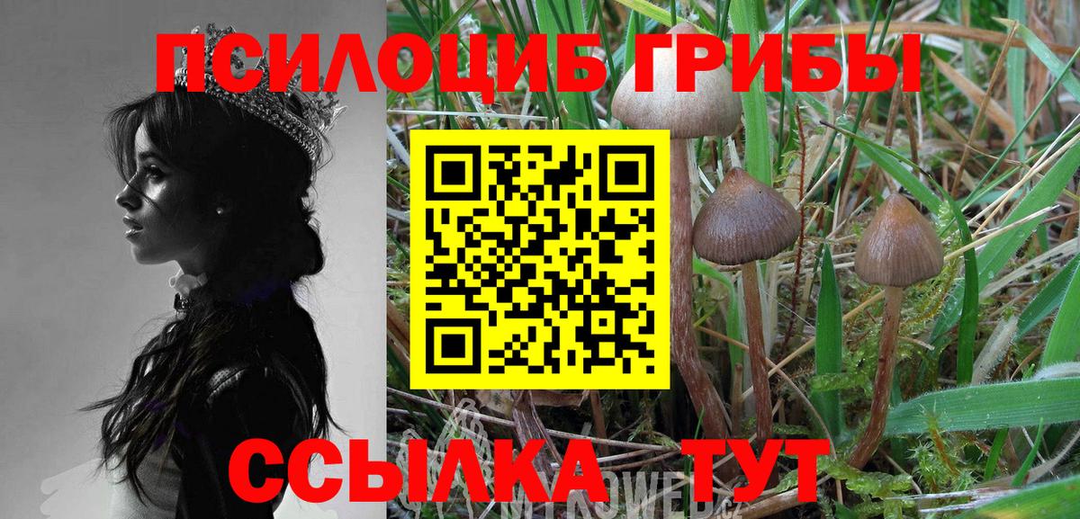 цены   Псилоцибиновые грибы ЛСД  Вход с VPN  Печора  Галлюциногенные грибы Psilocybe 